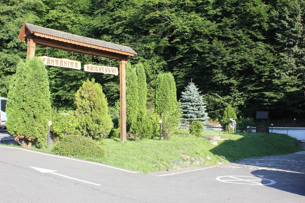 Hotel Fantanita Haiducului Bradu  Exteriör bild
