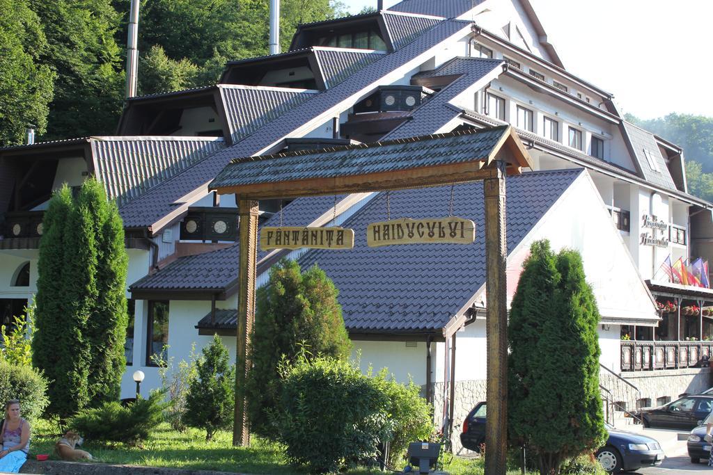 Hotel Fantanita Haiducului Bradu  Exteriör bild
